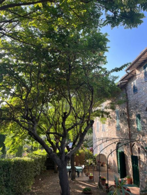 Appartamenti Fosso Delle Carceri Assisi